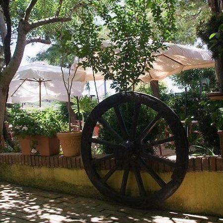 Hotel Ristorante Solari Briatico Kültér fotó